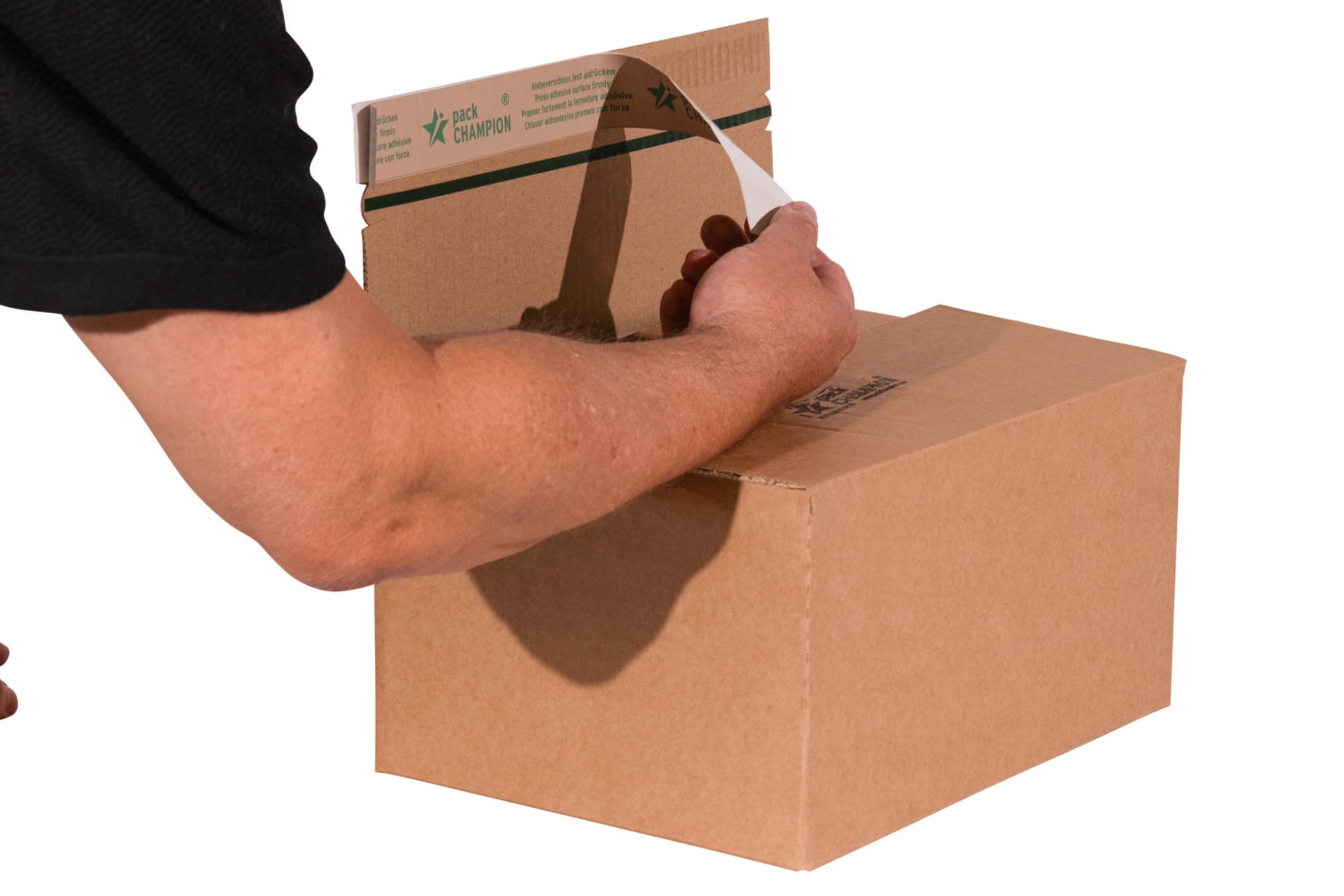 Fix-Aufrichtekarton höhenvariable 1-wellig – Bild 2