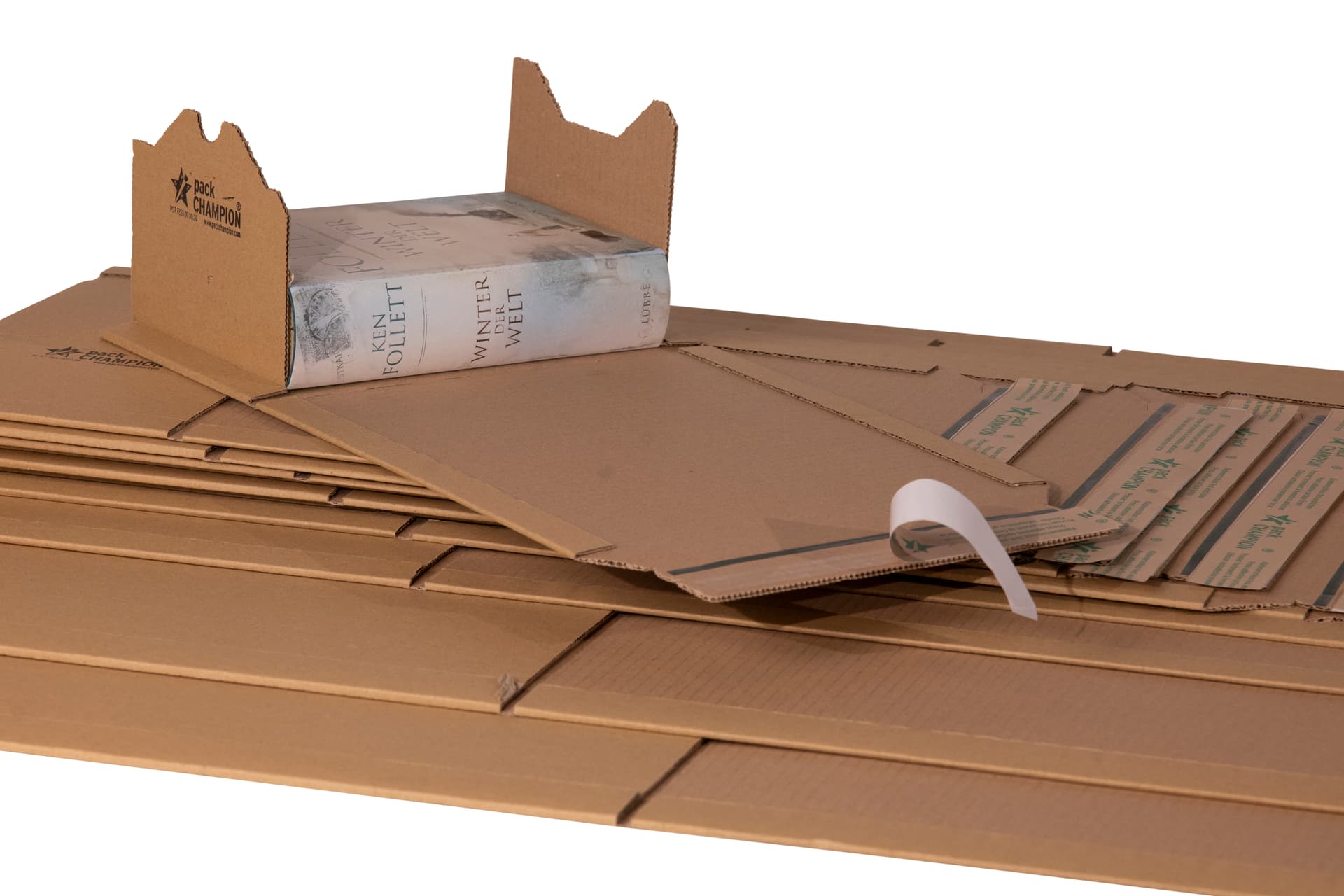 Wickelverpackung seitliche Packgutaufnahme – Bild 12